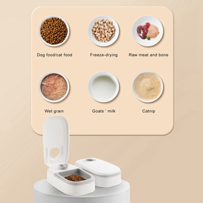 Automatic pet food bowl with timer is suitable for all breeds