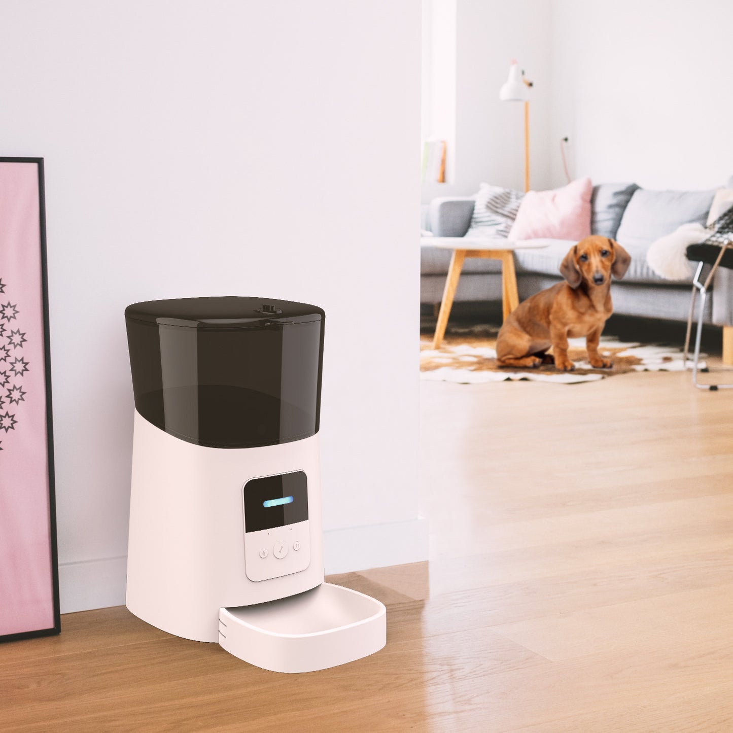 automatic dog feeder