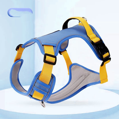 adjustable pet collar