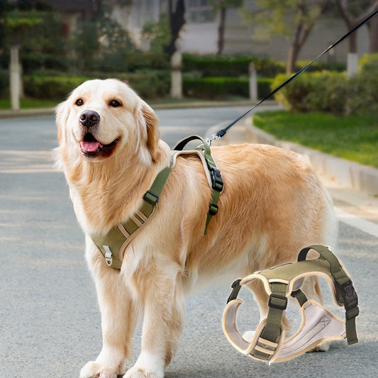adjustable pet collar