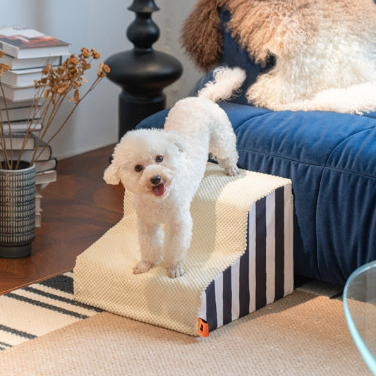 small pet stairs